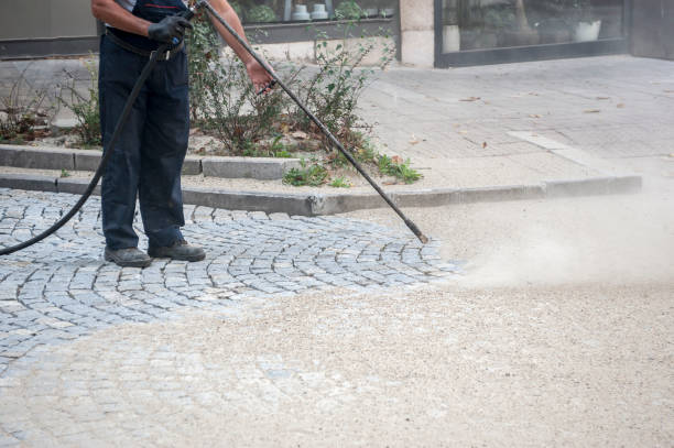 Best Pre-Holiday Cleaning  in New Cassel, NY